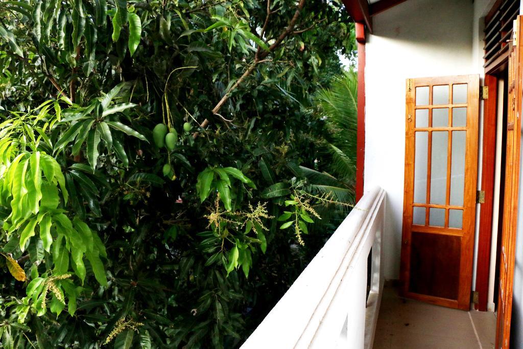 The Cool Nest Yala Hotel Тисамахарама Екстериор снимка